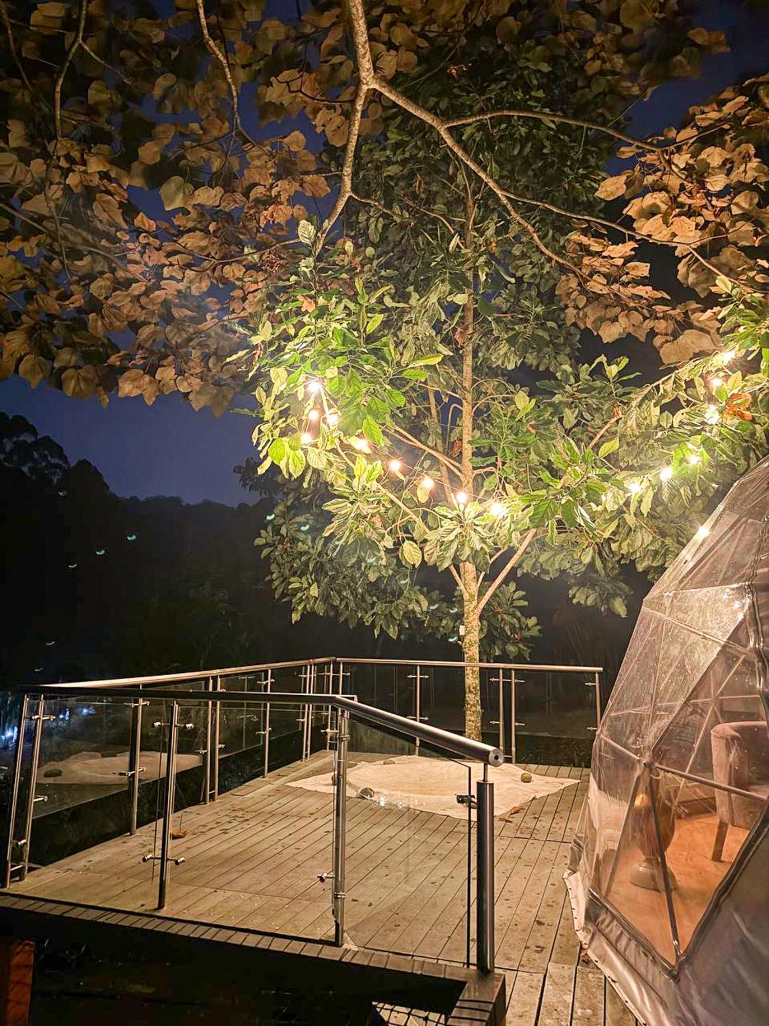 Riverside La Masia Ecohotel Quindio Bagian luar foto